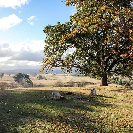 Twamley Farm Villa Buckland Eksteriør billede